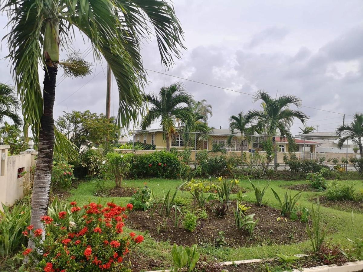 Ventnor House Apartments Bridgetown Exteriér fotografie